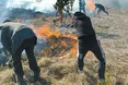 Ще одні вороги України – палії!