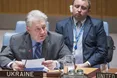 В Україні цьогоріч з’явиться «посол ООН», — Єльченко