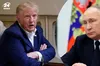 Зустріч Трампа та путіна вже готується: деталі