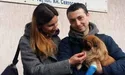 Собачка потрапила під колеса. А потім — у добрі руки…