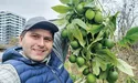 Неподалік лінії фронту вродила маракуя