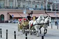 На проспекті Свободи знову з’явилися карети. Нелегальні…