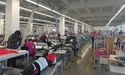 «ЛТП Україна»: успіх — результат роботи професіоналів