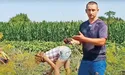 У Брусів вродила велика цибуля