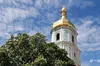 У Софії Київській презентують інсталяцію з квітів