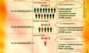 У «листах щастя» пропонують мільйони