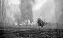 Сторінками трагедії