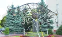 Серце-дерево «виросло» у Рівному