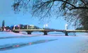 В ужгородських кафе дискутують не про політику, а про... птеродактилів