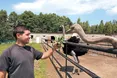 Страуси живуть на хуторі Ловаги