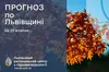 До 19° тепла: прогноз погоди на Львівщині на 23 жовтня 2025 року