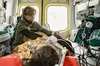 Сирський: на полі бою дедалі важливішою стає швидкість евакуації та інноваційні медичні рішення
