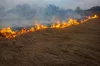 За добу на Львівщині сталися понад 20 стихійних пожеж
