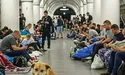 Бездомний пес Мишко ховається від ракет у метро