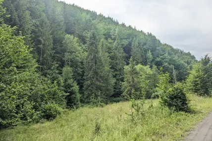 Фото із соцмереж Save Пікуй