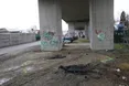 У Відні знайшли вбитим юнака: можливо, це син мера Харкова