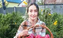 Із таких яблук будуть і соки, й варення