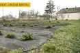 Картоплю та огірки вирощує в… сухому листі
