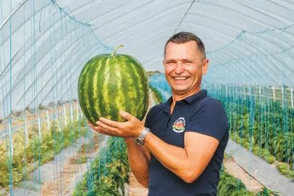 Окрім іншої городини, у Богдана Лутчина виростають великі кавуни. Фото з архіву Богдана Лутчина.