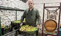 Сад допомагає відновити сили