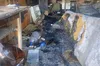 У Львові згорів гараж із безпритульними котами після стерилізації