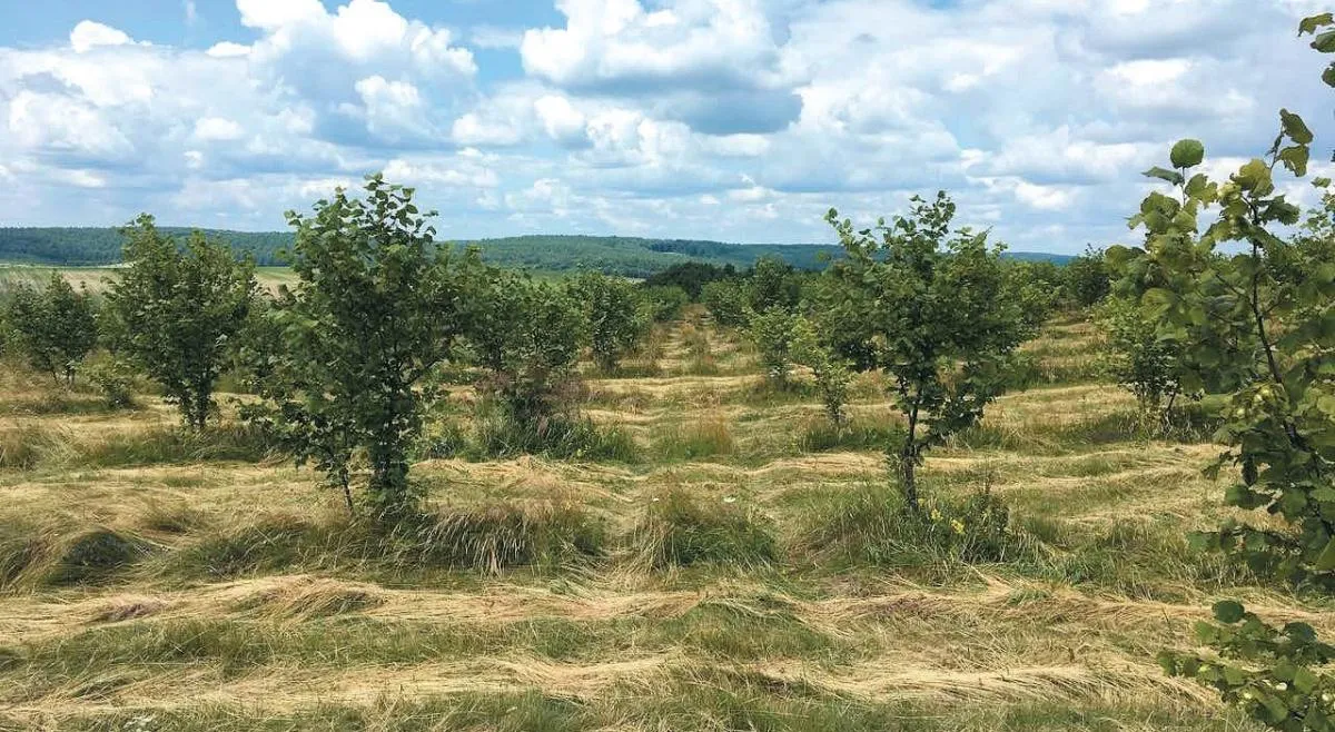 Фото з архіву Михайла Меркулова