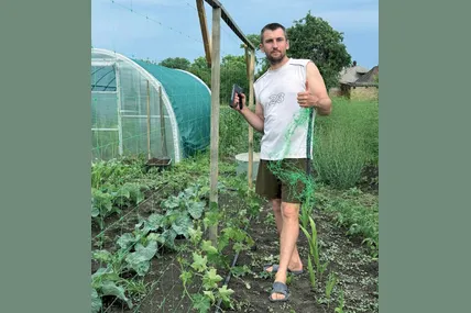 Для огірків, люфи та помідорів господар облаштовує сітчасті шпалери. Фото з архіву Володимира Судака