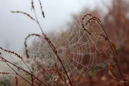 Фото із сайту Meteoprog