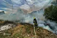 На Львівщині рятувальники за добу загасили 35 пожеж в екосистемах