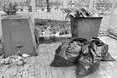 Першу леді виставили... на смітник