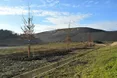 Грибовицький полігон перетворюється на сучасну рекреаційну зону