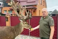 Олень Бориско став зіркою