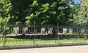Крик душі Катерини Васечко