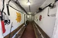 На Дніпропетровщині експосадовицю освіти підозрюють у закупівлі непридатних укриттів на 6,3 млн грн