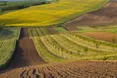 Мігранти в Криму грабують землю півострова…
