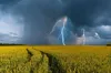 Дощі, грози та град: погода на Львівщині на 6 червня