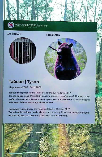 Такі таблички встановили на території притулку. У них коротка інформація про ведмедів, які живуть у «Домажирі».
