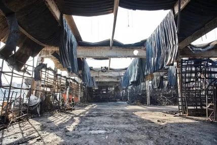 Фото: Олег Синєгубов
