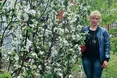 До саджанців — із великою любов’ю