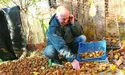 Ківі з вулиці Квітів