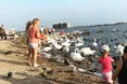 Російські туристи в Криму – «цивілізовані дикуни»