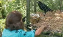 Своїй господині крук зізнається у коханні: «О'кей, Люба! Ай лав ю!»