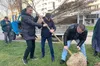 «Люди, які купили дерево і посадили своїми руками, не мають іспанських паспортів»