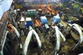 Бурштинська електростанція оновлюється за стандартами Європи