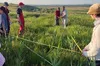 На Одещині стартувала перша за час війни археологічна експедиція