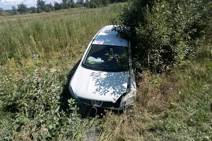 25.08.2026, 19:30				


									На Львівщині за добу зафіксували 14 ДТП із травмованими							

										За минулу добу на території Львівської області сталося 14 дорожньо-транспортних пригод із потерпілими