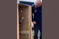 Урятували не просто одну козулю, а три життя