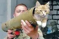 Українські птахи ворогам здаються... бомбами