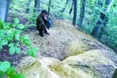 Борсучі нори часто окуповують лисиці