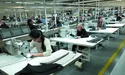Сидіння для німецьких автівок роблять в українських Кожичах